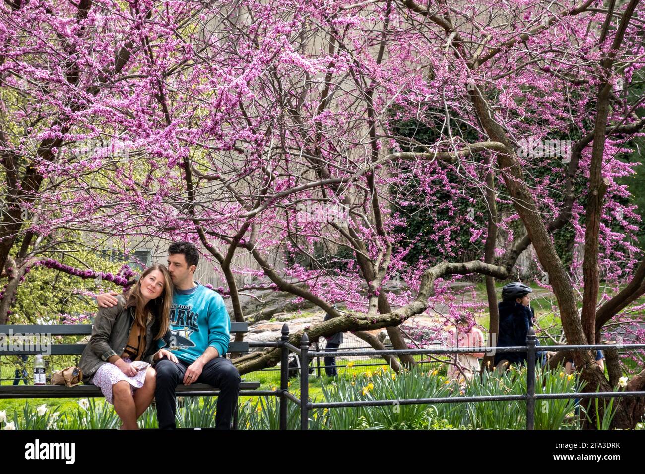 New York City i residenti e i turisti godono di Central Park in primavera, STATI UNITI D'AMERICA Foto Stock