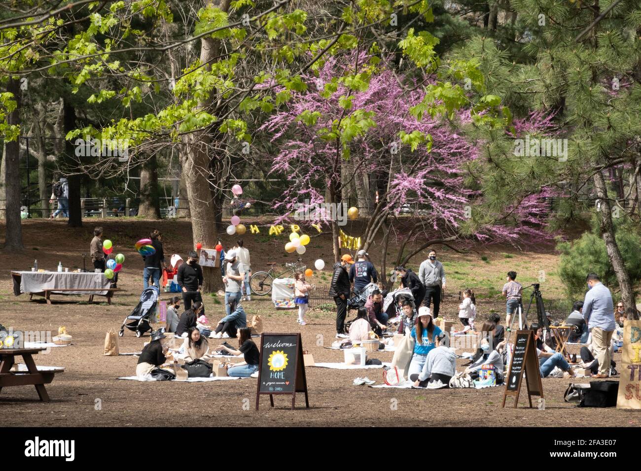 New York City i residenti e i turisti godono di Central Park in primavera, STATI UNITI D'AMERICA Foto Stock