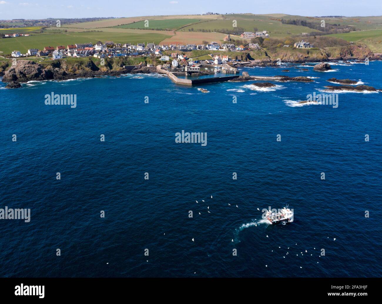 La vista aerea mostra una nave da pesca che ritorna al porto di St Abbs sulla costa del Berwickshire, Scozia, Regno Unito. Foto Stock