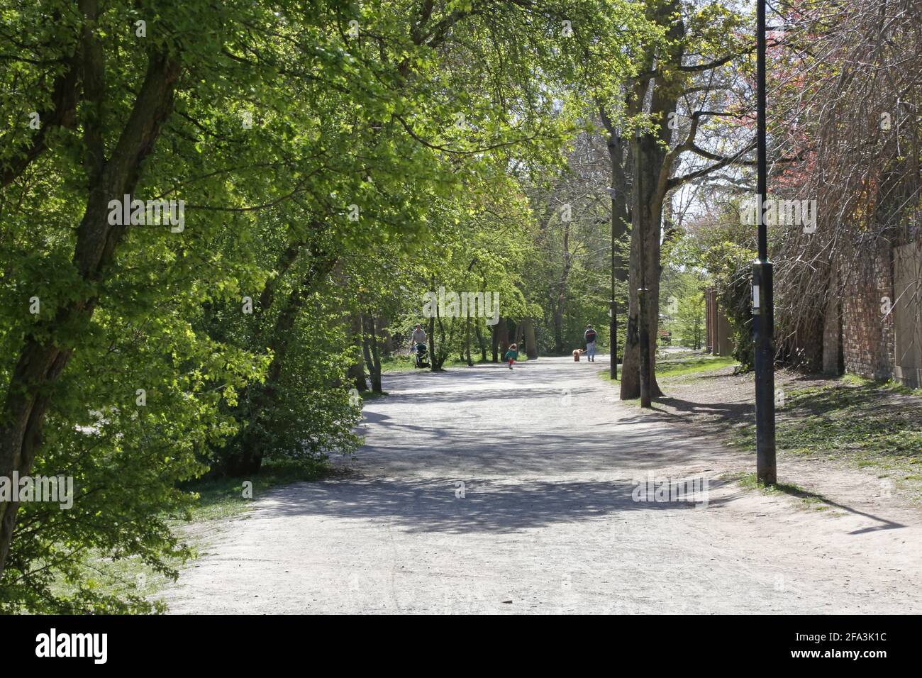 Woodland Path su Wandsworth Common, a sud di Londra, Regno Unito. Un'area di alberi, parchi e campi da gioco. Giorno di primavera soleggiato. Foto Stock