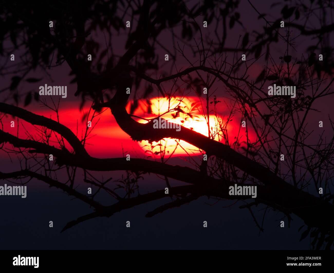 Silhouette di albero di bellissimo tramonto sulla spiaggia sull'isola di Koh Chang, Thailandia. Foto Stock