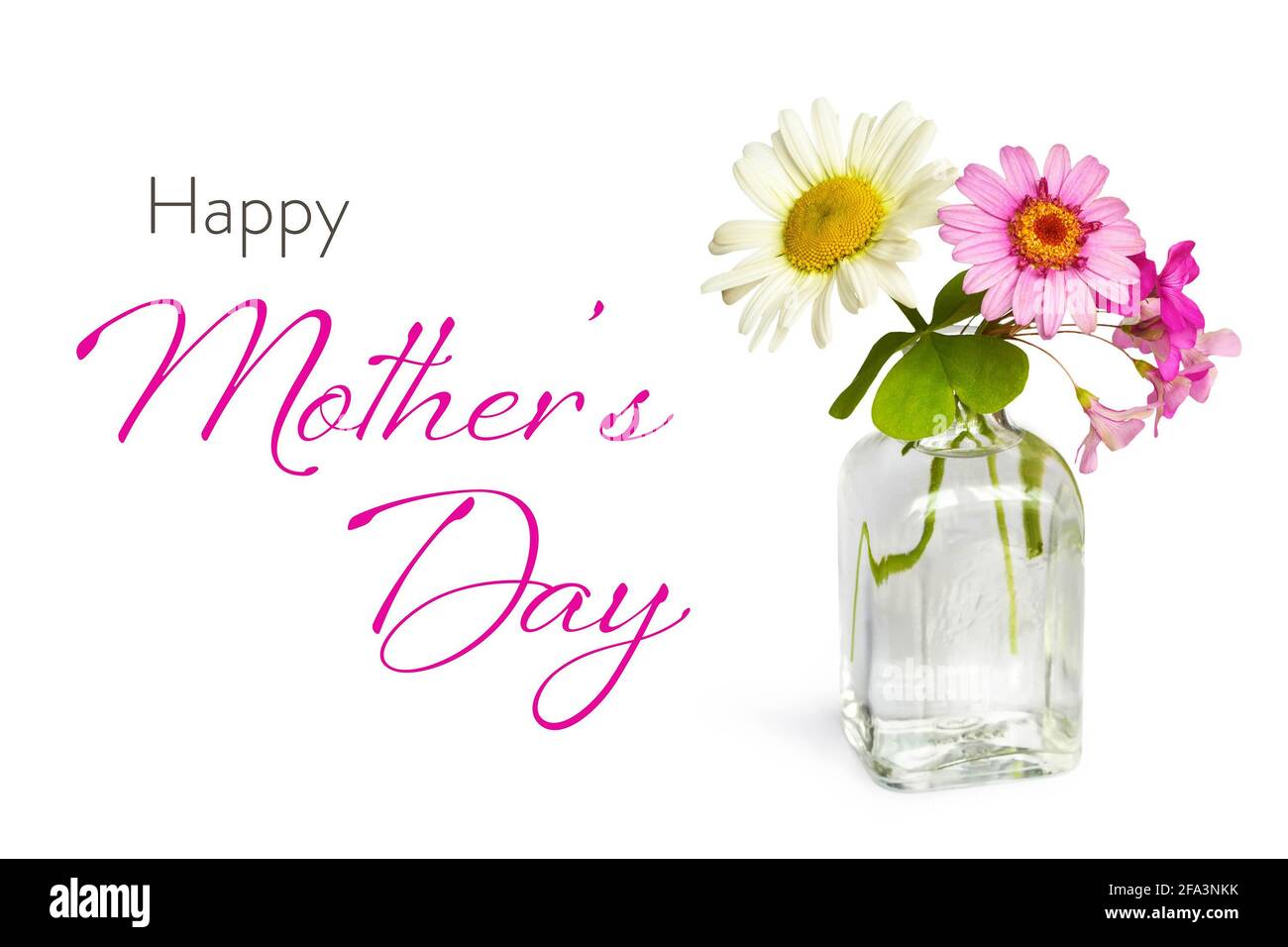 Happy Mothers carta giorno con fiori primaverili in vaso isolato su sfondo bianco Foto Stock