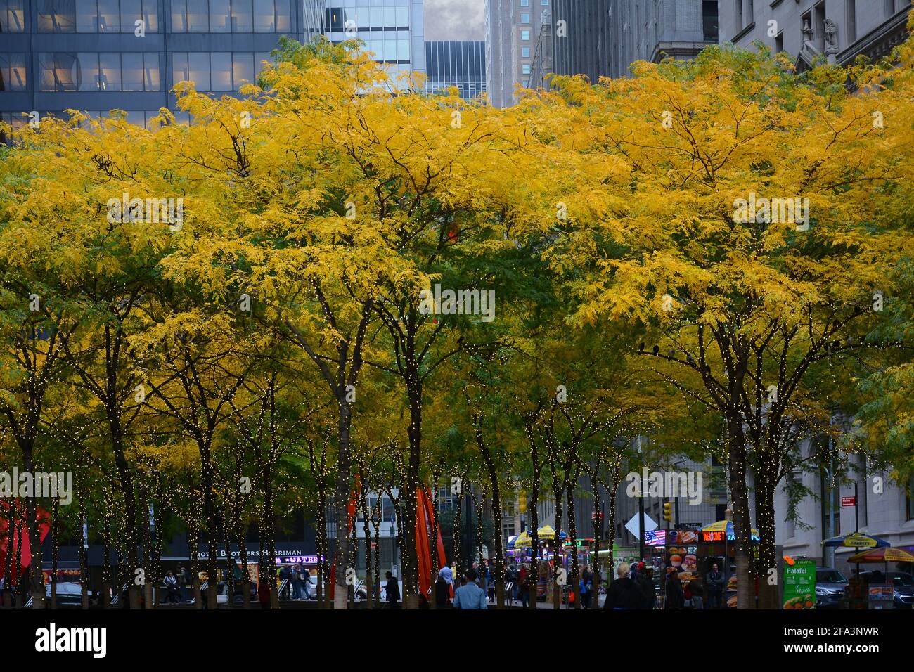 New York, NY - 05 NOV 2019: Zuccotti Park nel quartiere finanziario di Lower Manhattan con alberi in colori autunnali e avvolti da stringhe di luci. Foto Stock