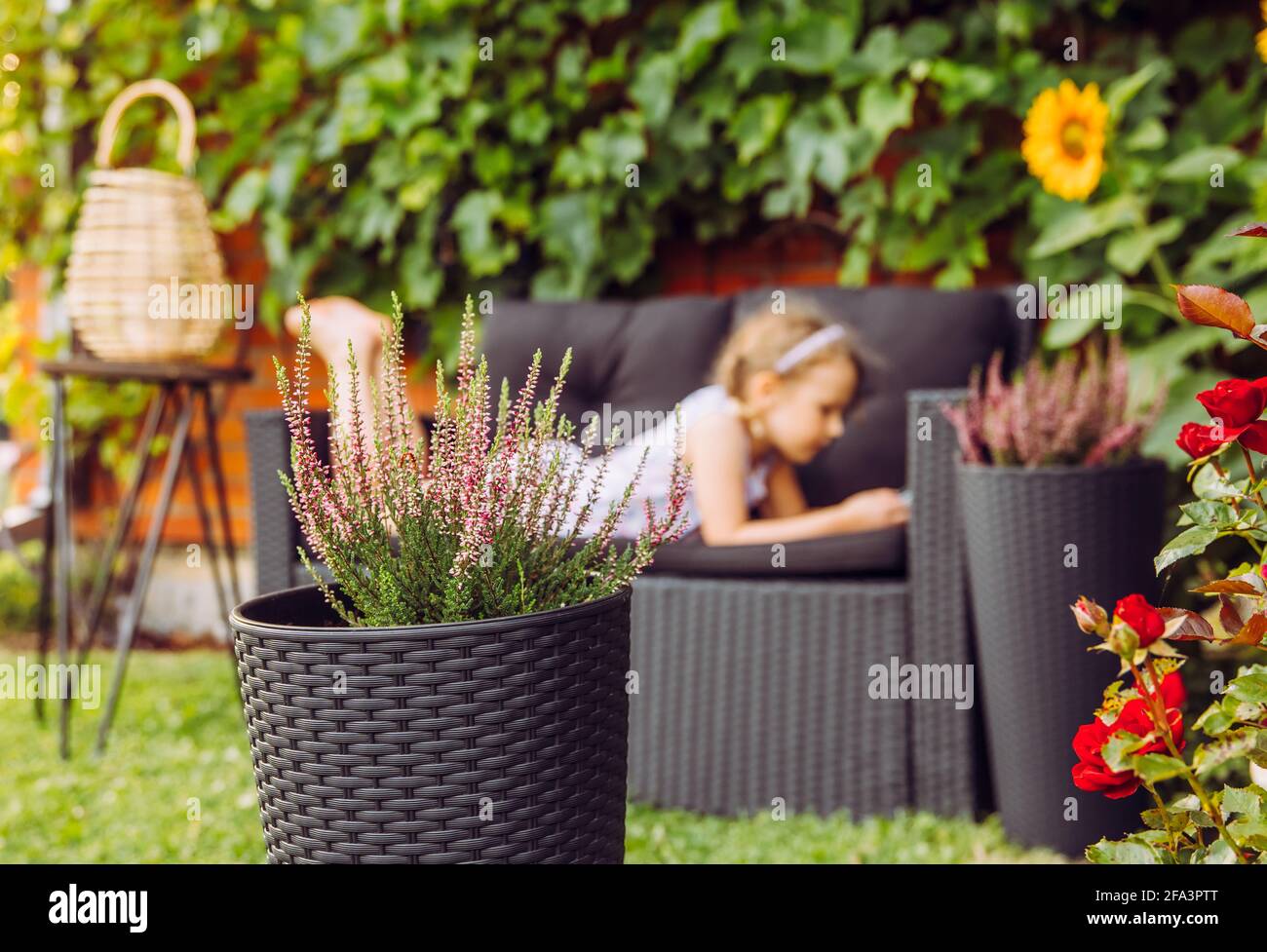 Fuoco selettivo su fiore di erica del giardino in vaso. Sullo sfondo sfocato è 7 anni bambina bambino sdraiata sul divano mobili da giardino e guardare smartpho Foto Stock