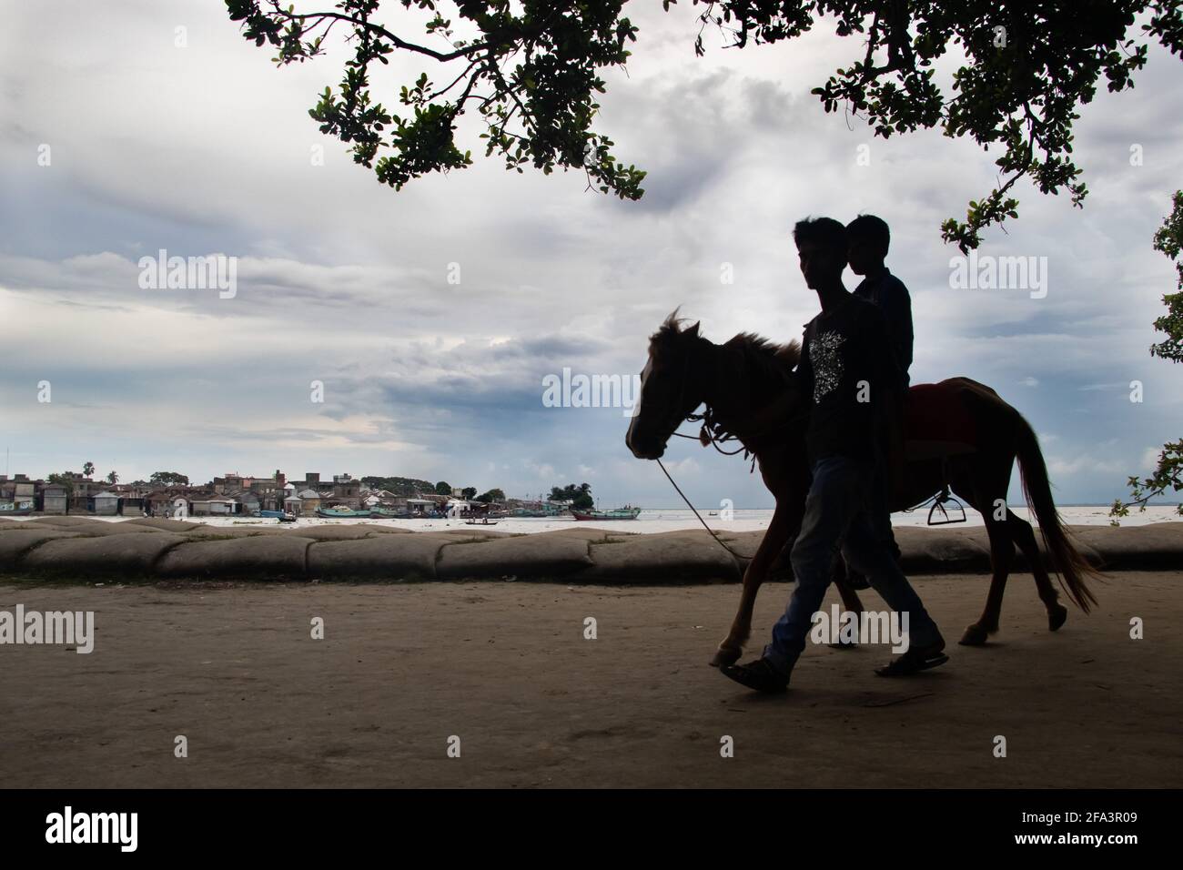Horseman in movimento con il turista oltre alla riva del fiume ho catturato questa immagine il 15 settembre 2020 da Chandpur, Bangladesh, Asia meridionale Foto Stock