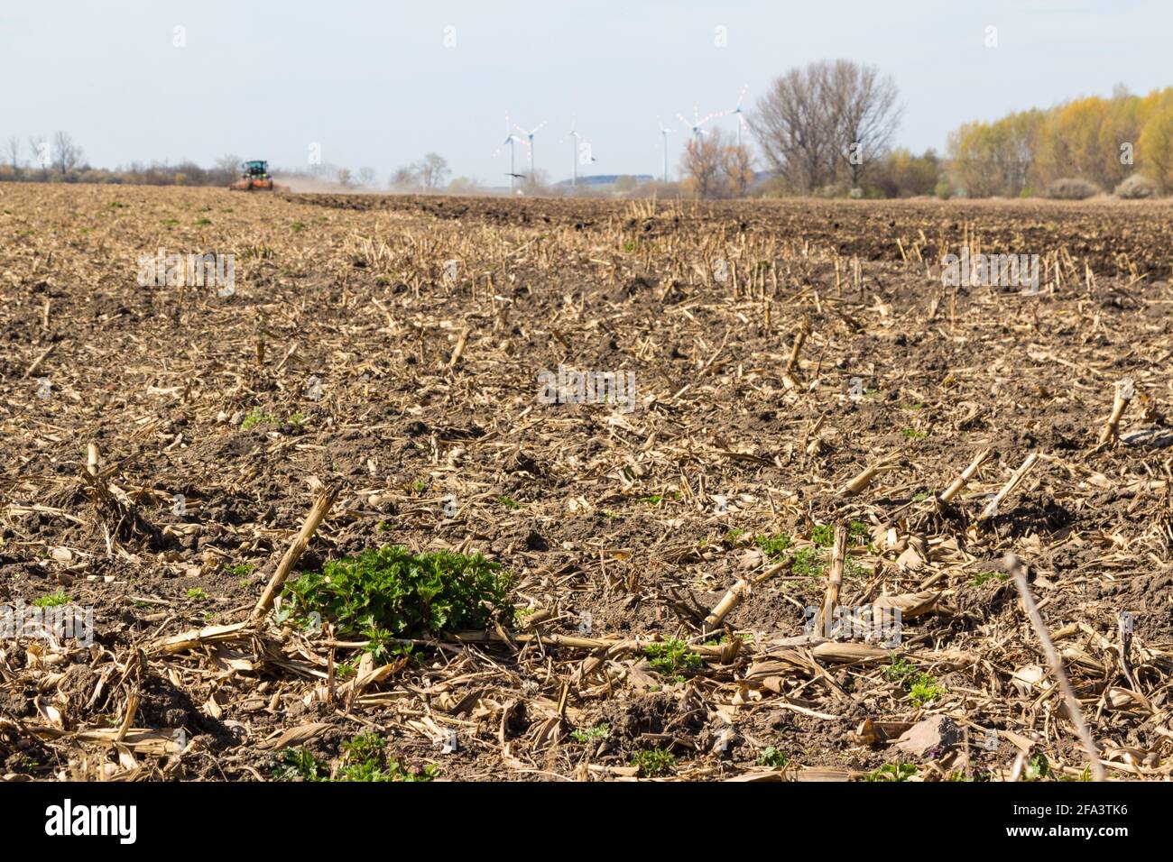 Primo piano di terreni arabili arati e arati con stoppie di mais e trattore sfocato sullo sfondo in primavera, vicino a Sopron, Ungheria Foto Stock