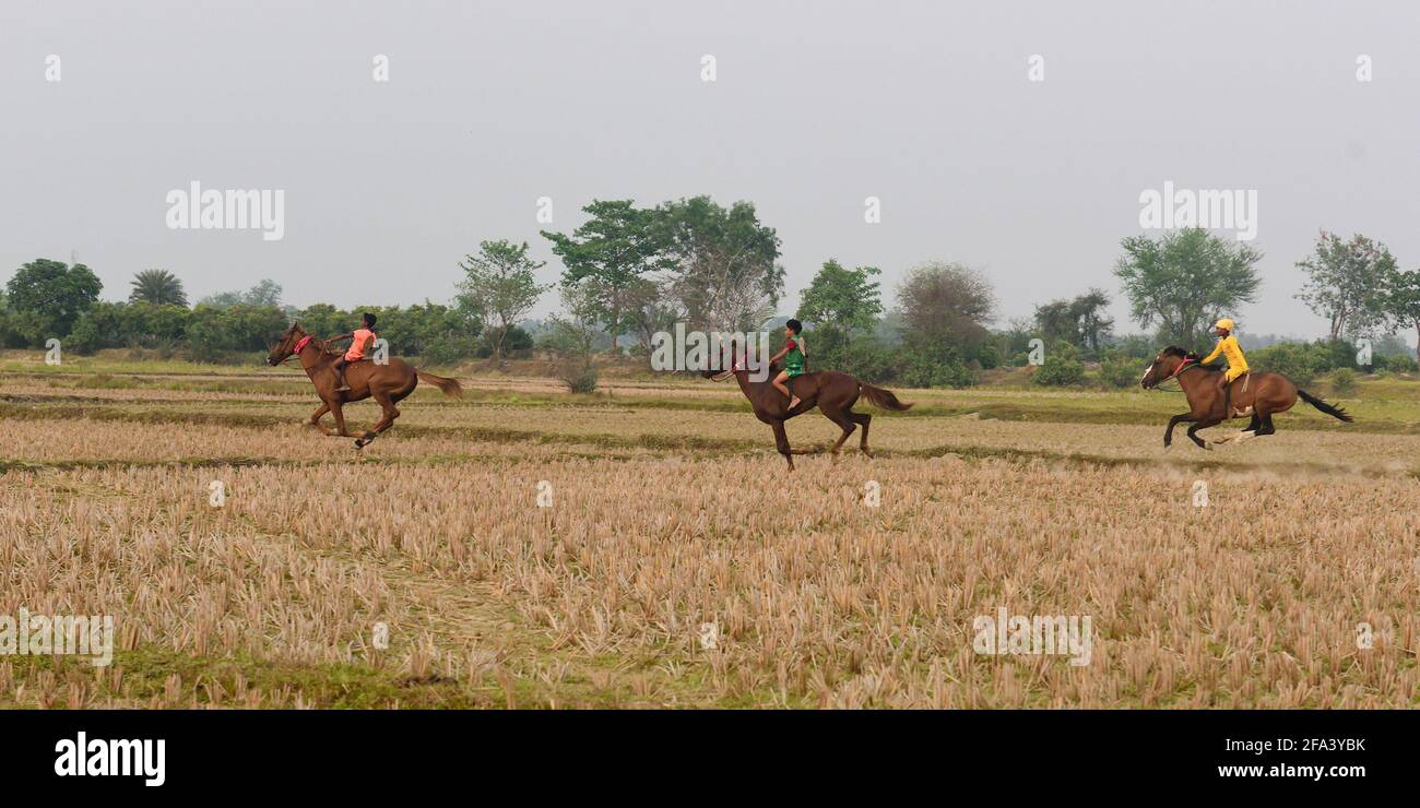 I bambini scacquando cavalcano i cavalli senza gli attrezzi di sicurezza adeguati durante una corsa del cavallo nel Bengala rurale. Credit: SOPA Images Limited/Alamy Live News Foto Stock