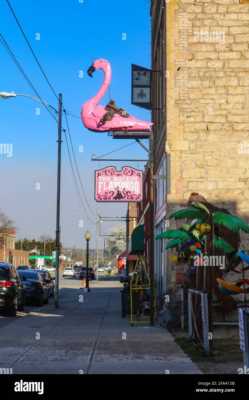 6-6-2016-Pawhuska Oklahoma USPink Flamingo con sella e occhiali statua di metallo fuori dal negozio di Flamingo buccing su Main Street Foto Stock