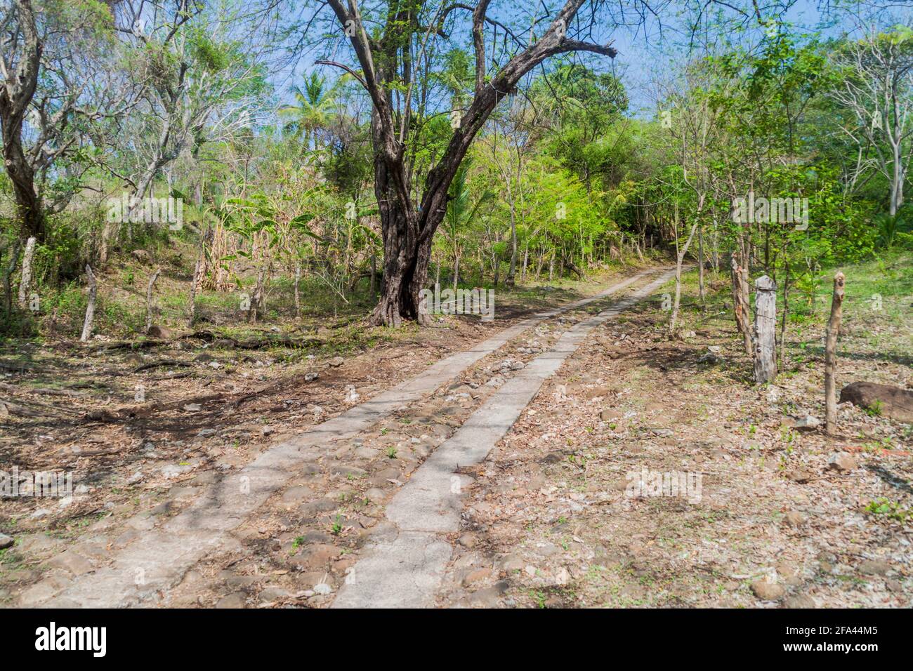 Strada sull'isola di Ometepe, Nicaragua Foto Stock