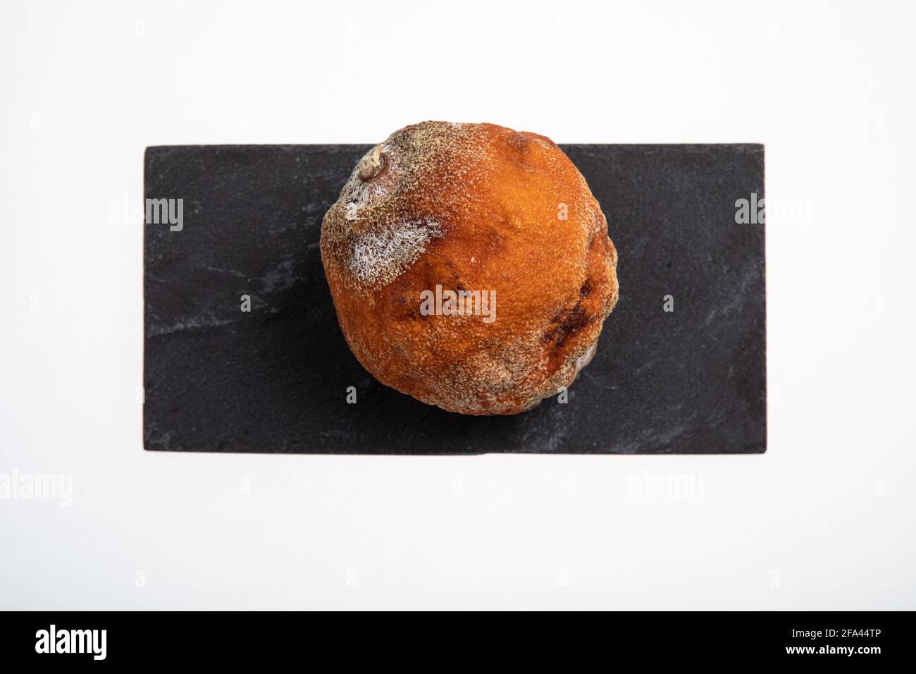 Una frutta arancione marcata e ammuffita con bianco e nero macchie isolate su bianco Foto Stock