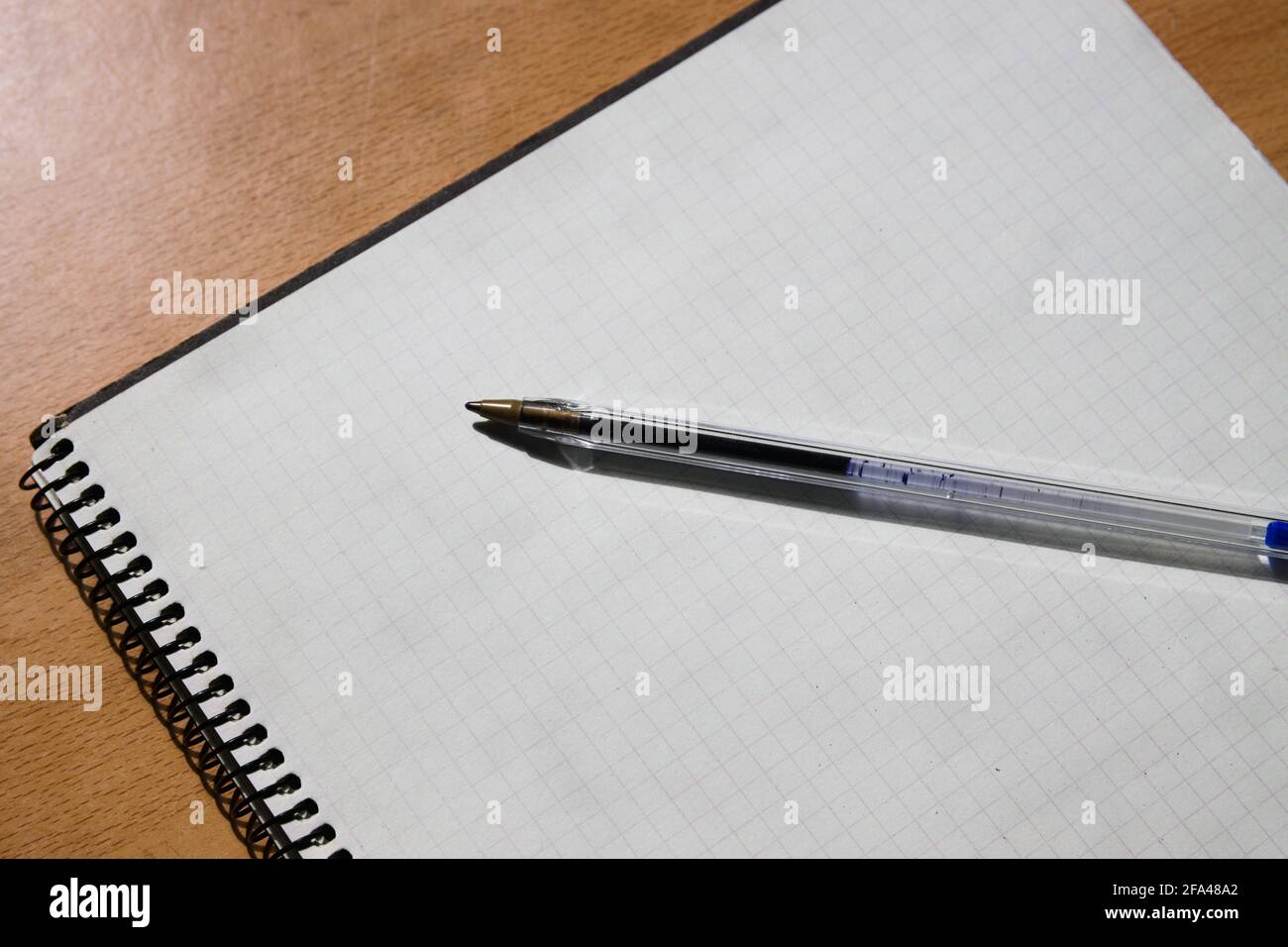Immagine di una tabella in cui è presente una penna su un notebook WORM con pagine vuote. Concetto, spazio di copia Foto Stock
