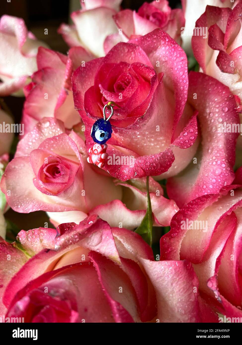 Talismano nascosto in rose rosa Foto Stock