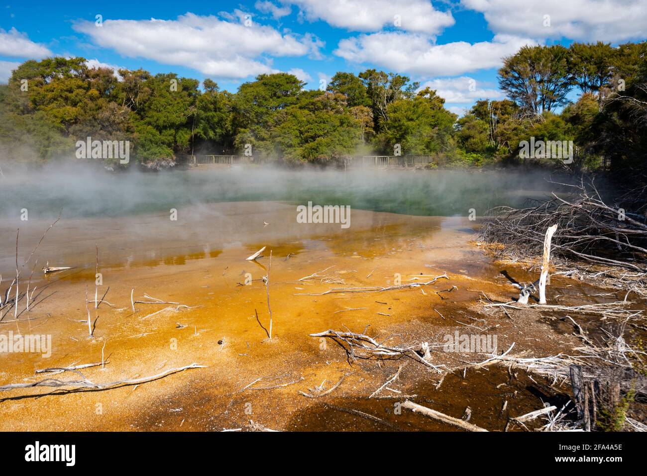 Lago geotermico a Kuirau Park, Rotorua, Nuova Zelanda Foto Stock