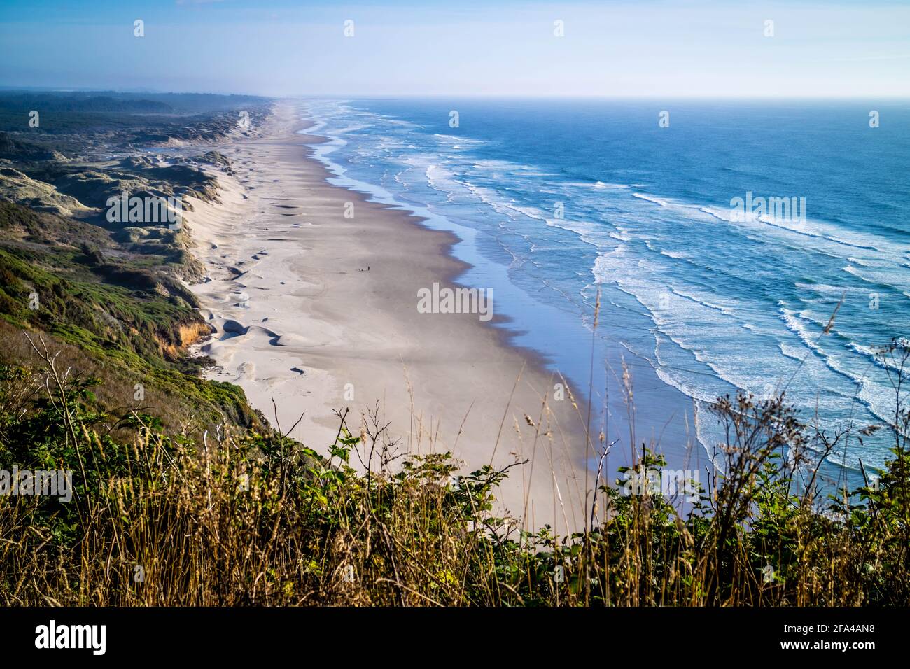 Heceta Head Lighthouse parco dello stato punto panoramico a Firenze, Oregon Foto Stock