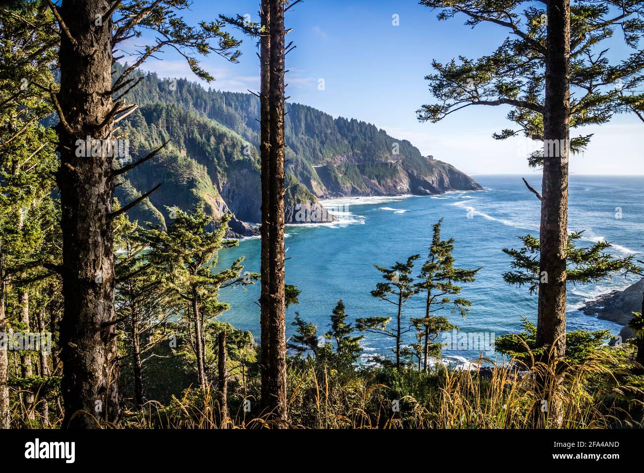 Heceta Head Lighthouse parco dello stato punto panoramico a Firenze, Oregon Foto Stock