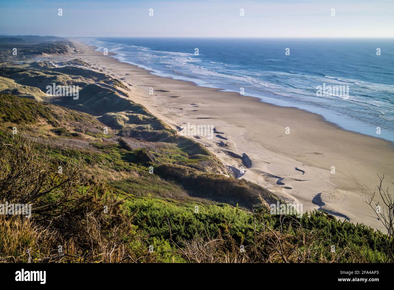 Heceta Head Lighthouse parco dello stato punto panoramico a Firenze, Oregon Foto Stock