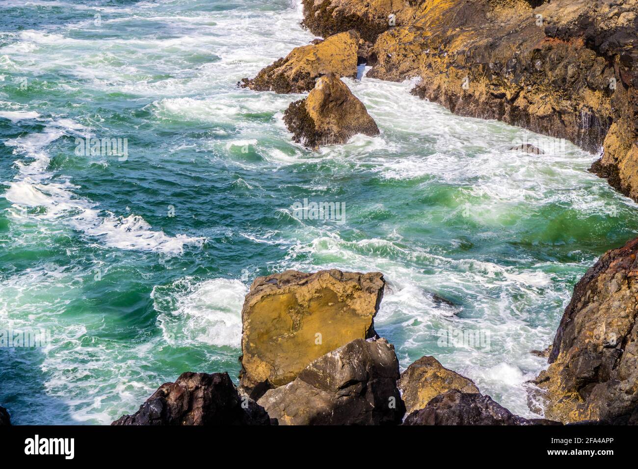 Heceta Head Lighthouse parco dello stato punto panoramico a Firenze, Oregon Foto Stock
