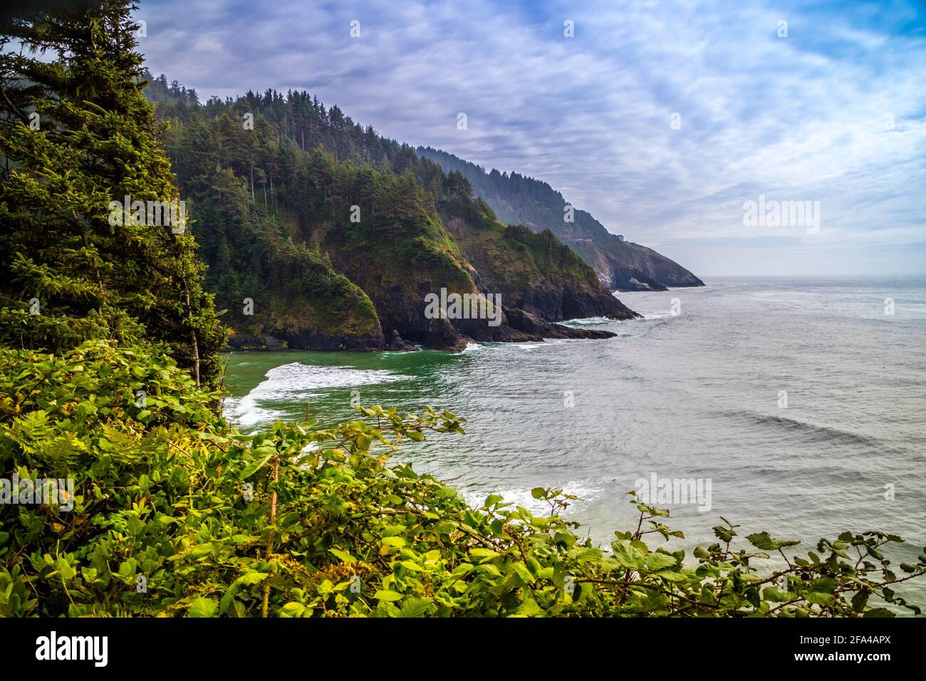 Heceta Head Lighthouse parco dello stato punto panoramico a Firenze, Oregon Foto Stock