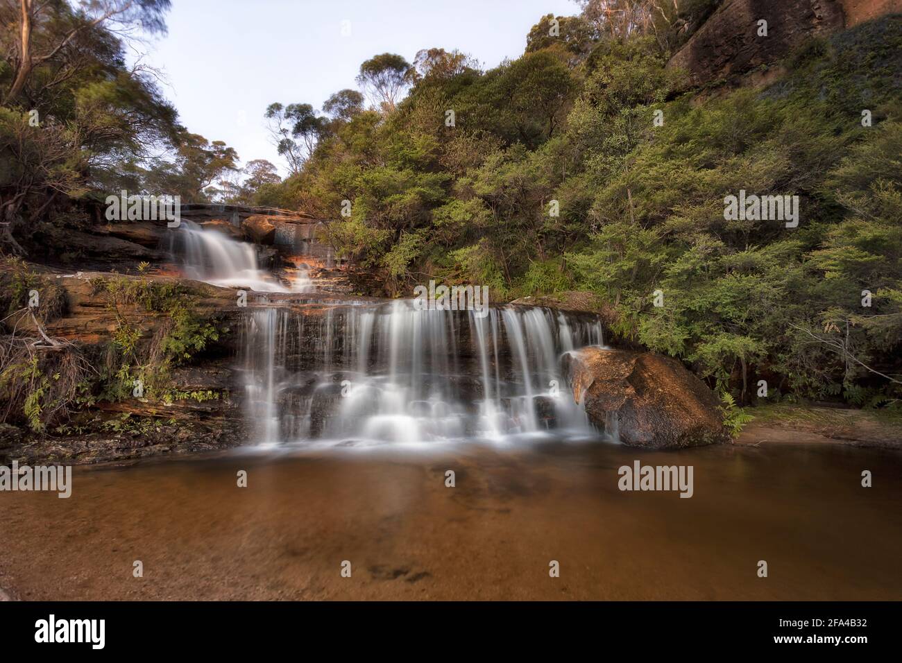 Foresta pluviale e billabong nelle Blue Mountains dell'Australia con la sezione superiore delle cascate di Wentworth. Foto Stock