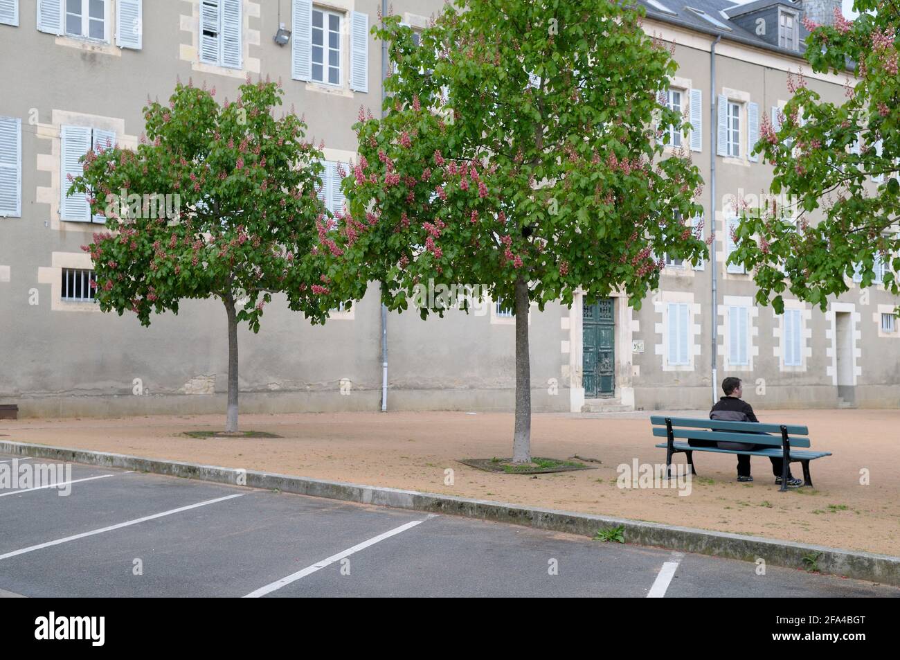 Uomo seduto su una panchina, Nevers, Borgogna, Francia Foto Stock