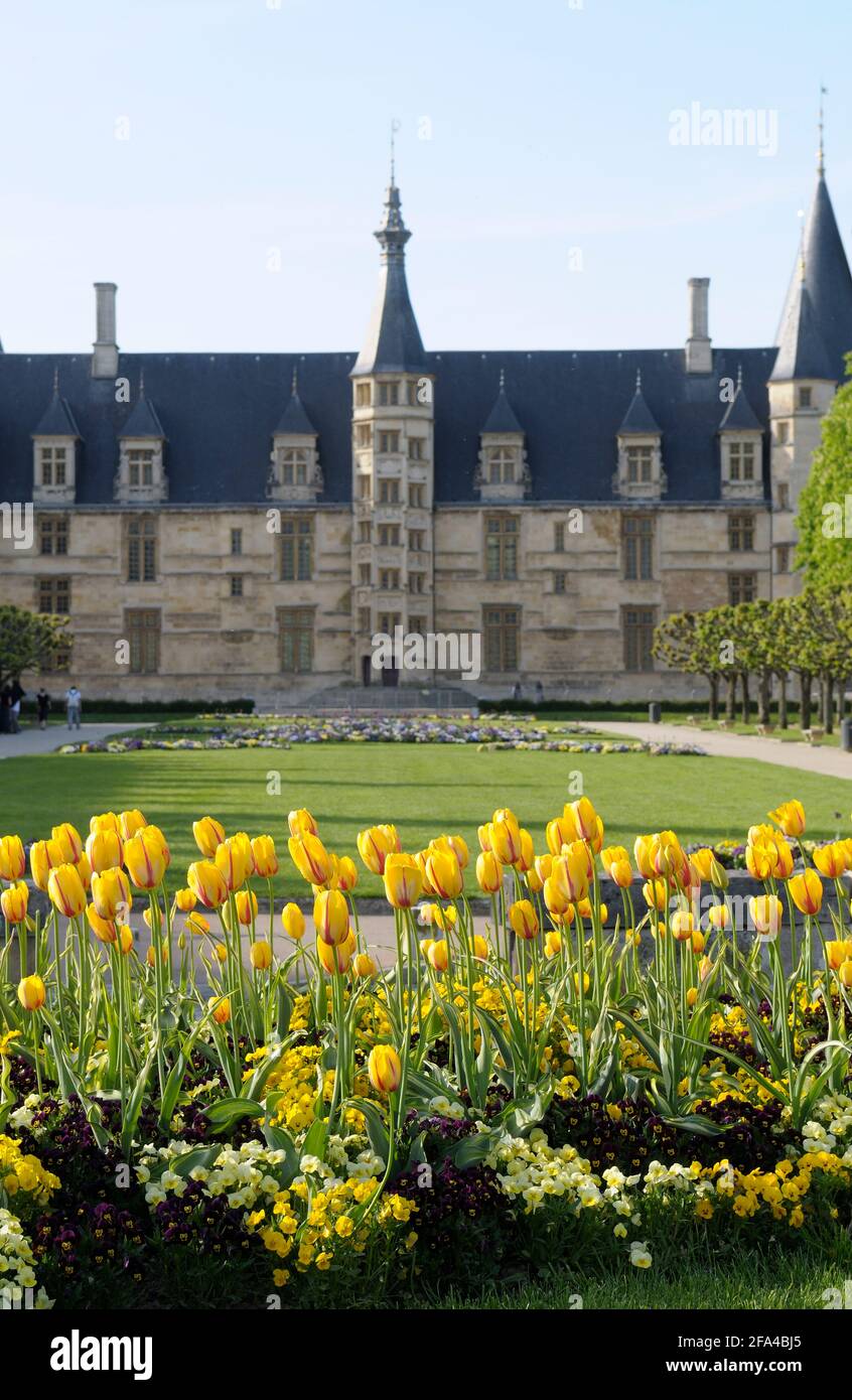 Tulipani, Place de la Republique, Palais Ducal, Nevers, Borgogna, Francia Foto Stock