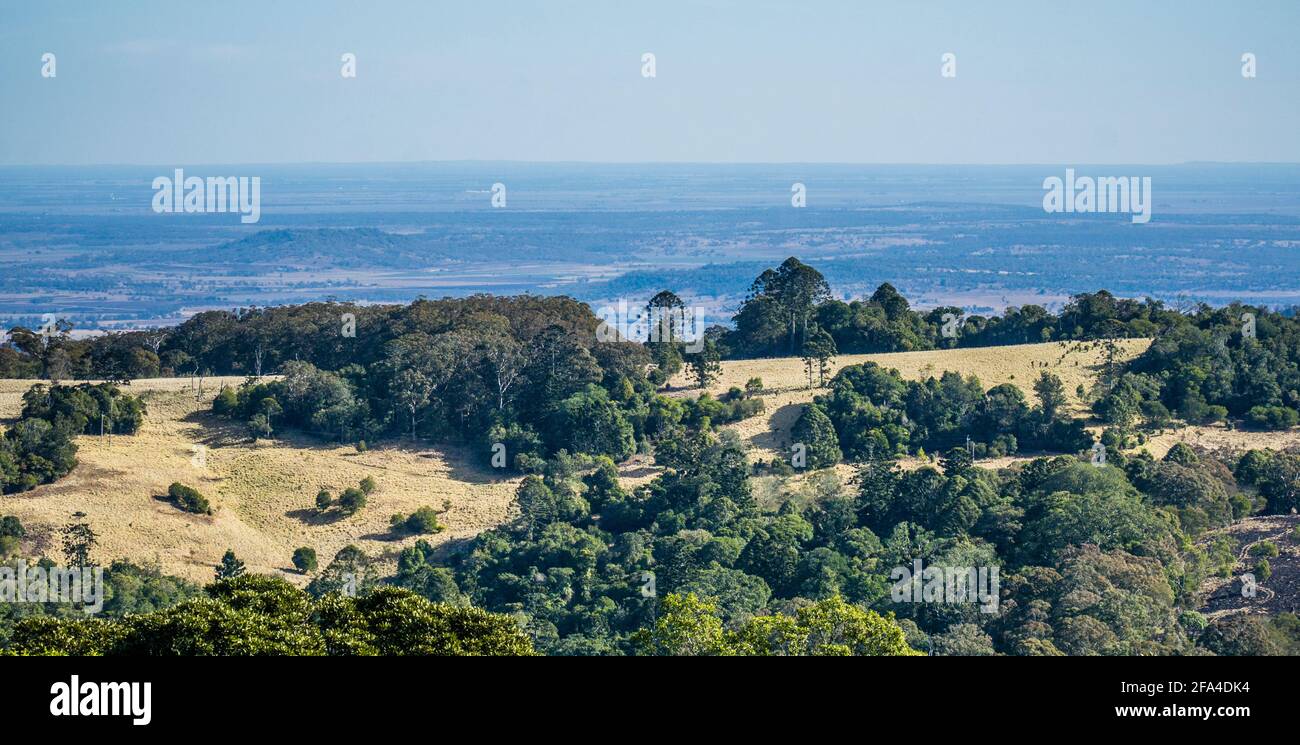La catena montuosa di Bunya è la zona più occidentale di Foresta pluviale subtropicale nel Queensland meridionale e la più grande popolazione di resti di pini bunya Foto Stock