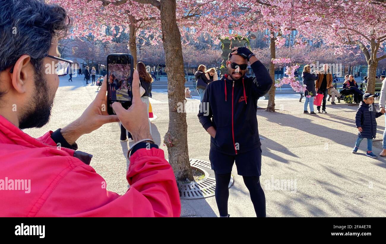 Un gruppo di persone scatta foto nel parco dei ciliegi. Foto di alta qualità Foto Stock