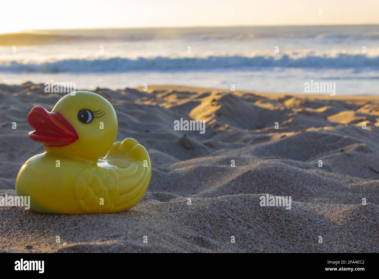 Piccola anatra gialla sulla sabbia in una giornata di sole. Foto Stock