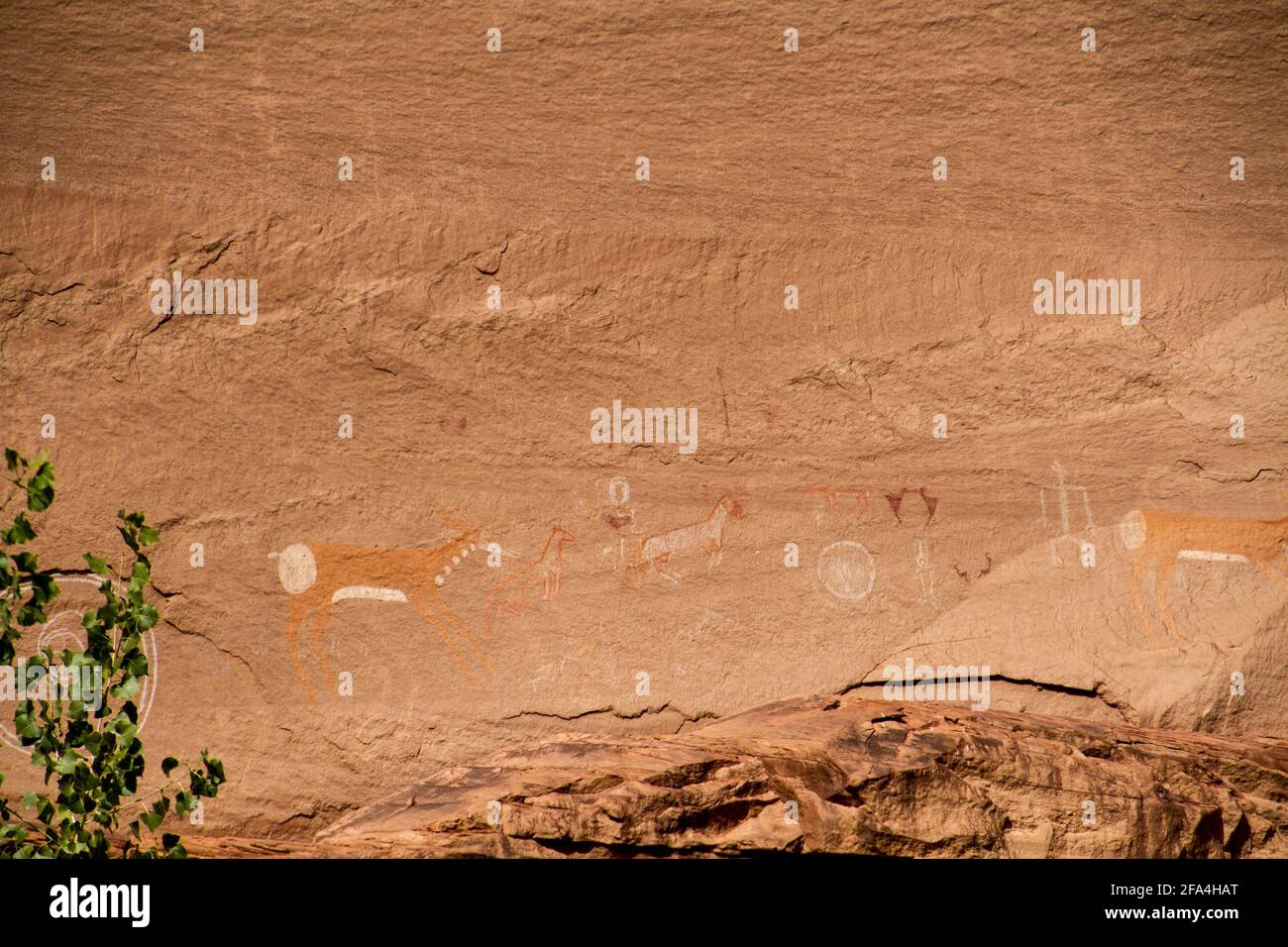 Chelly Canyon ha importanti resti archeologici che spazia in quattro periodi di culture dei Nativi Americani. Esso è considerato il geografiche e cultur Foto Stock