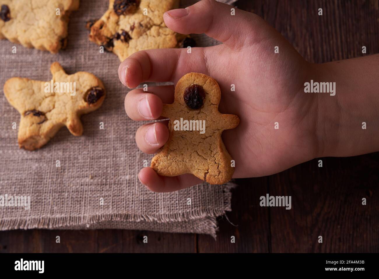 Biscotti fatti in casa senza glutine e senza lattosio senza zucchero con uvetta e cioccolato su sfondo di legno marrone scuro e il bambino tiene il pan di zenzero Foto Stock Biscotti fatti in casa senza glutine e senza lattosio senza zucchero con uvetta e cioccolato su sfondo di legno marrone scuro e il bambino tiene il pan di zenzero Foto Stock