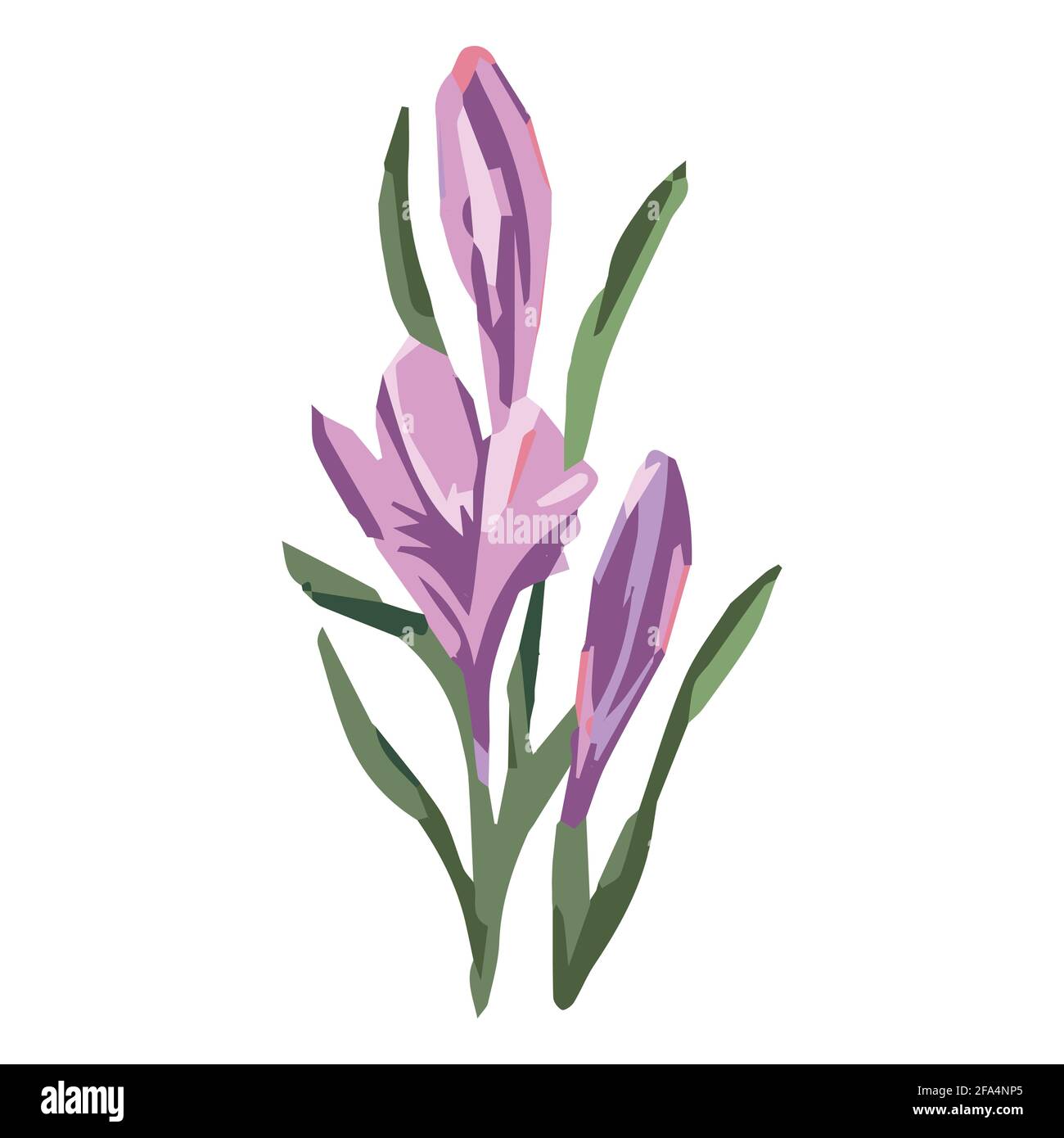 croci, fiori decorativi, croci viola, astratto, Illustrazione Vettoriale