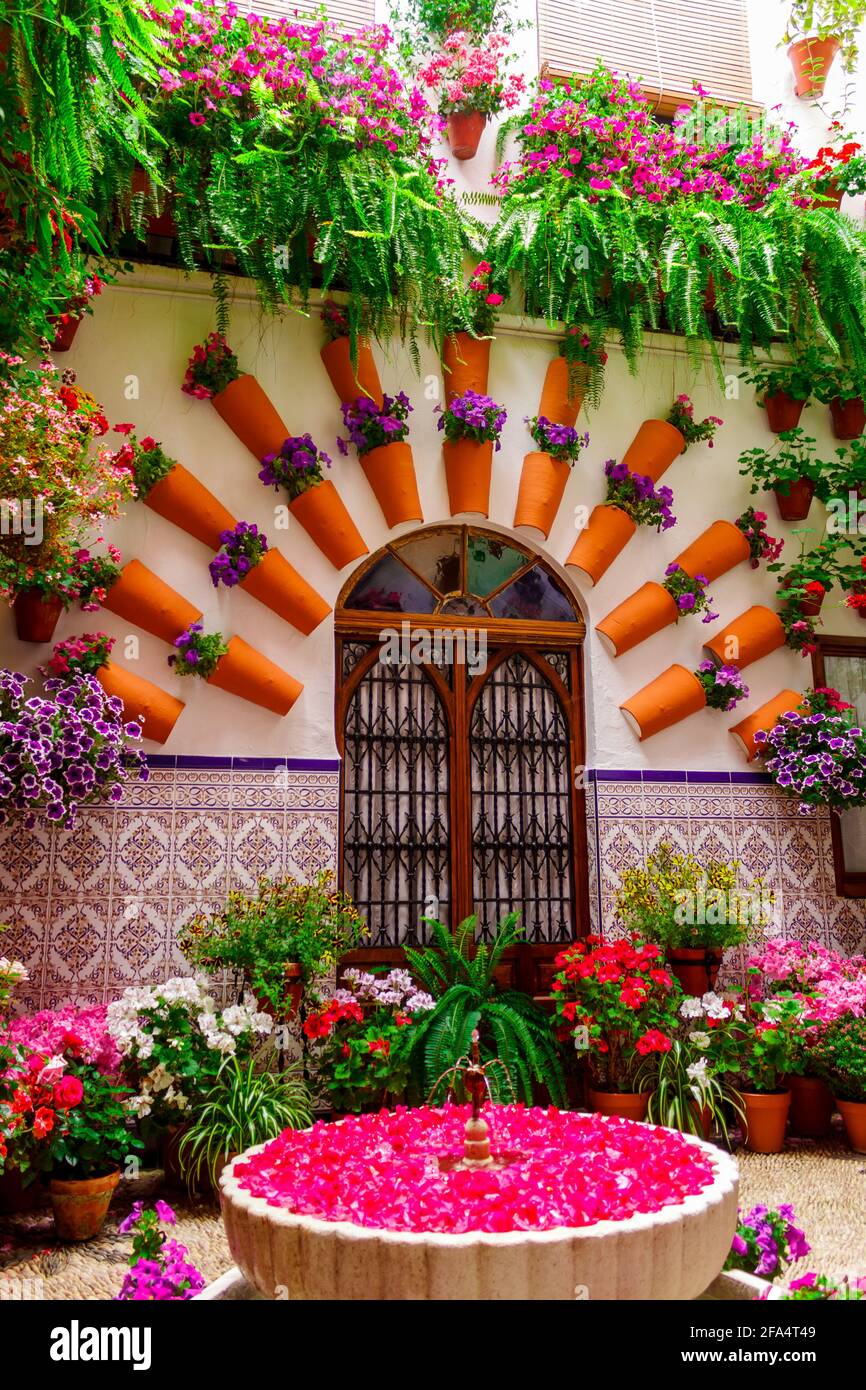 Il cortile della casa, con fiori in pentole sul pavimento e sulle pareti  con una fontana. Cordova, Andalusia, Spagna Foto stock - Alamy