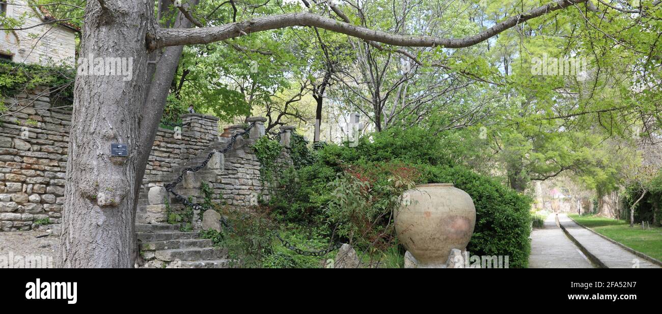 Verde Estate alberi freschi sul Palazzo della Regina Maria e Giardini Botanici, Balchik, Bulgaria Foto Stock