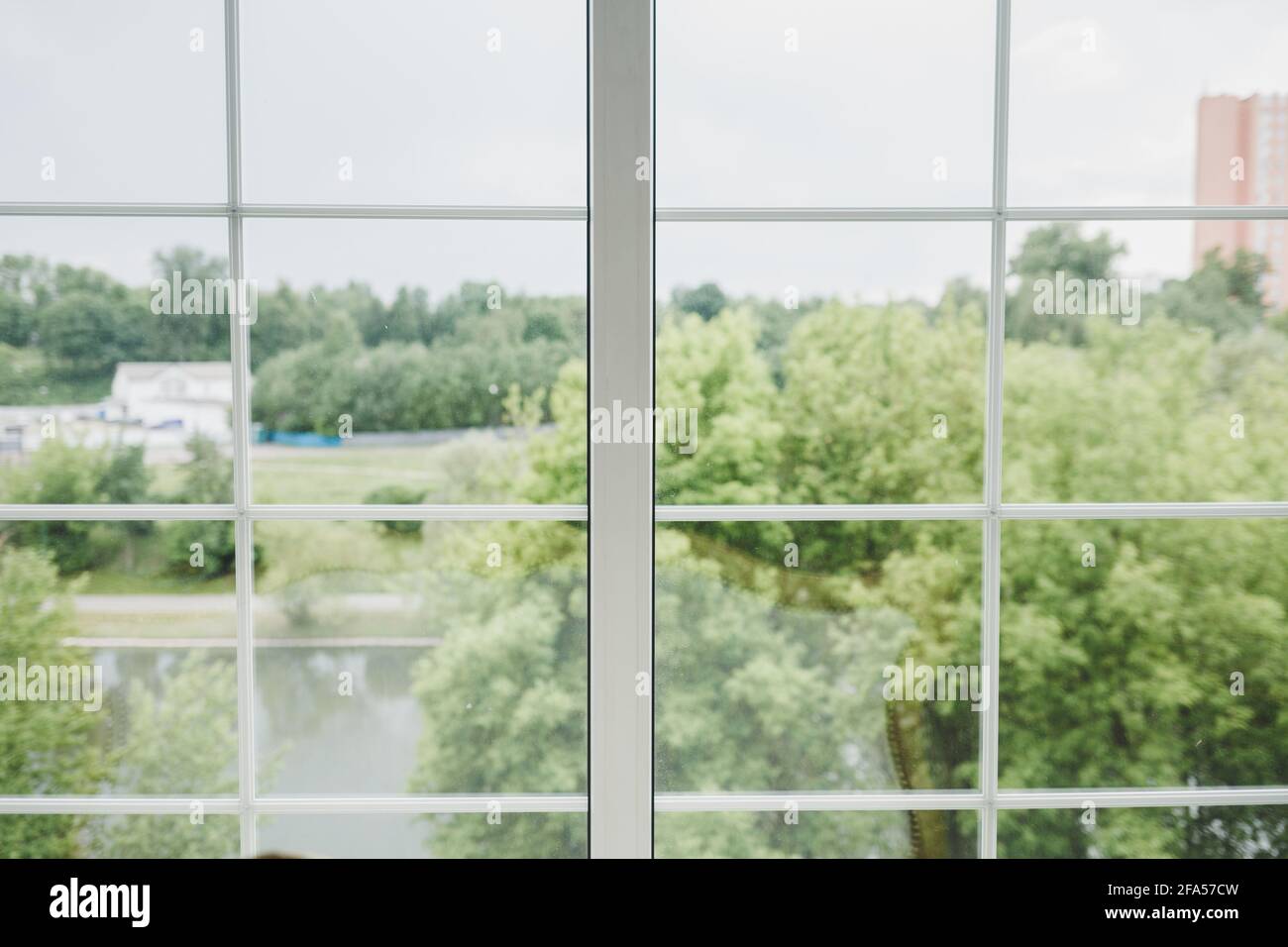 Cornice finestra bianca con vista ad albero Foto Stock