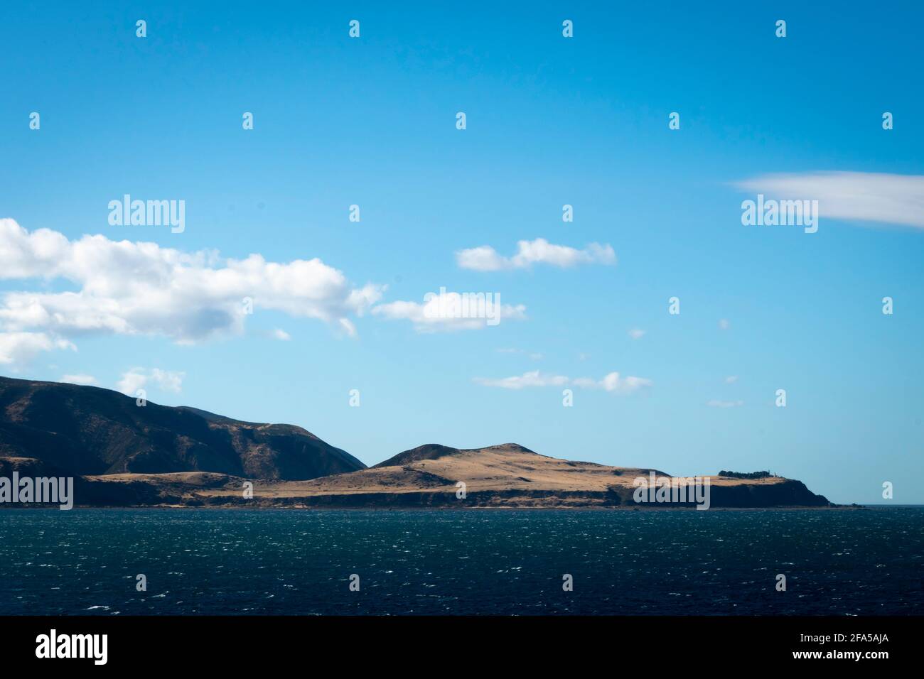 Baring Head, ingresso al porto di Wellington, Wellington, North Island, Nuova Zelanda Foto Stock