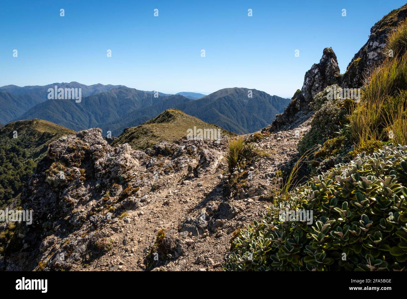 Formazioni rocciose vicino alla cima del Monte Holdsworth, Tararua Forest Park, Isola del Nord, Nuova Zelanda Foto Stock