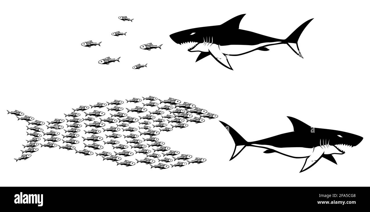 Big Fish piccolo pesce Illustrazione Vettoriale