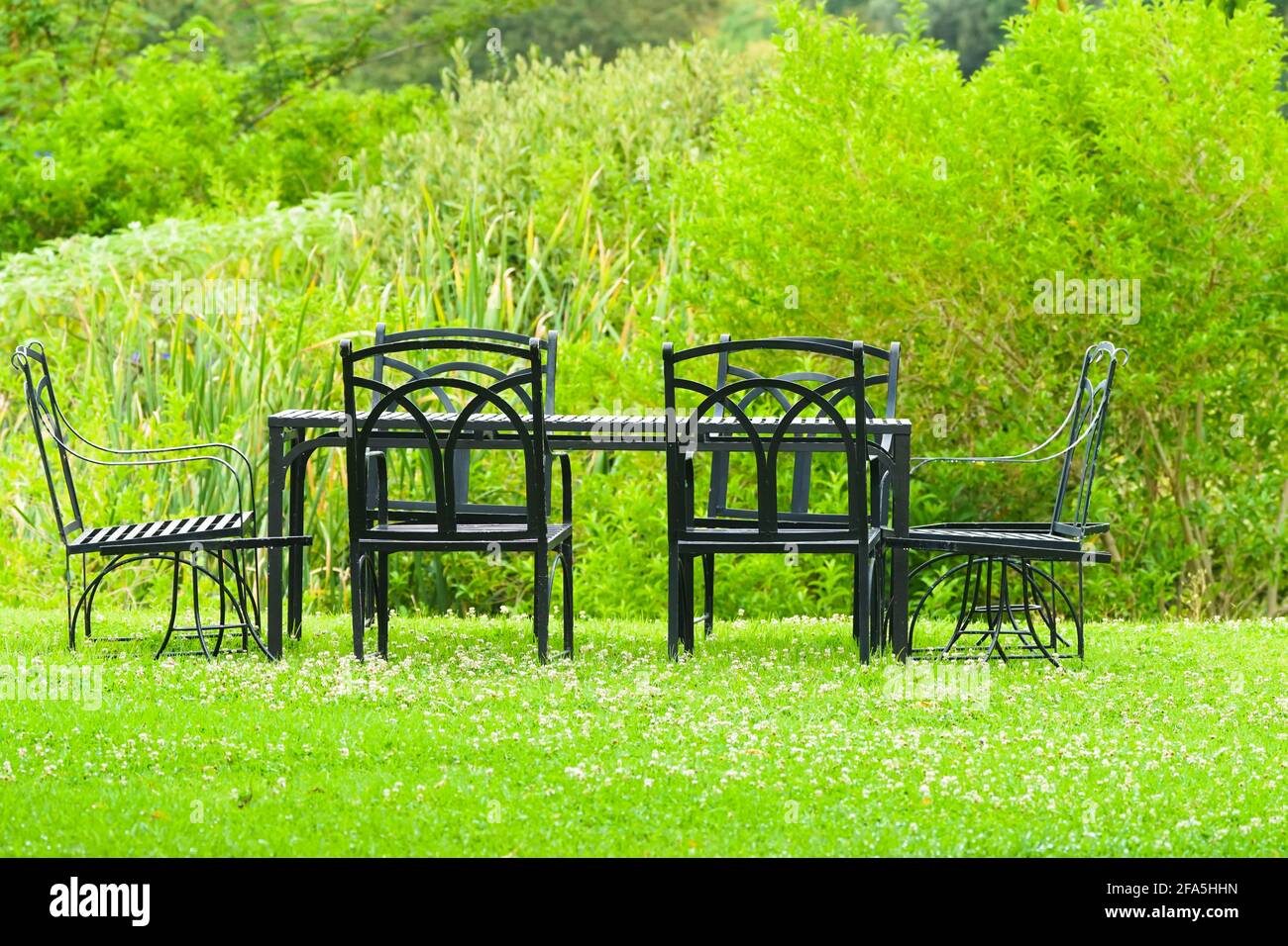 tavolo e sedie senza persone sull'erba in un giardino o un parco da utilizzare come affresco sala da pranzo o area picnic all'aperto Foto Stock