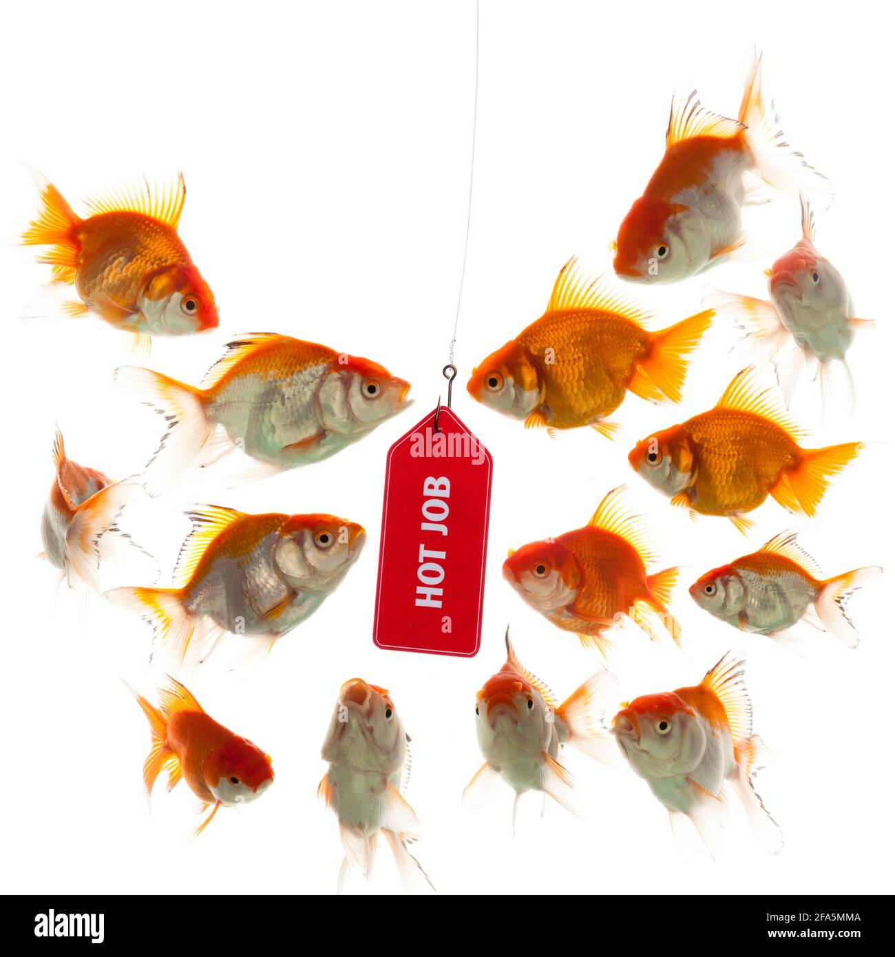 L'esca è sul posto per la gente che cerca i nuovi posti di lavoro. Foto Stock