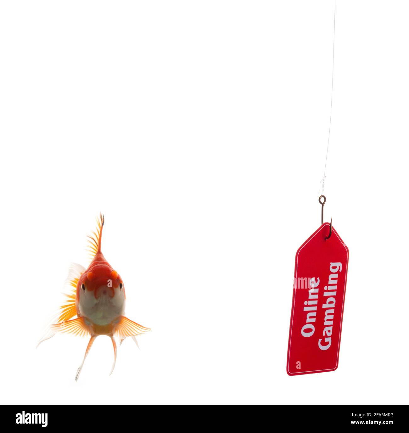 Truffe di gioco Foto Stock