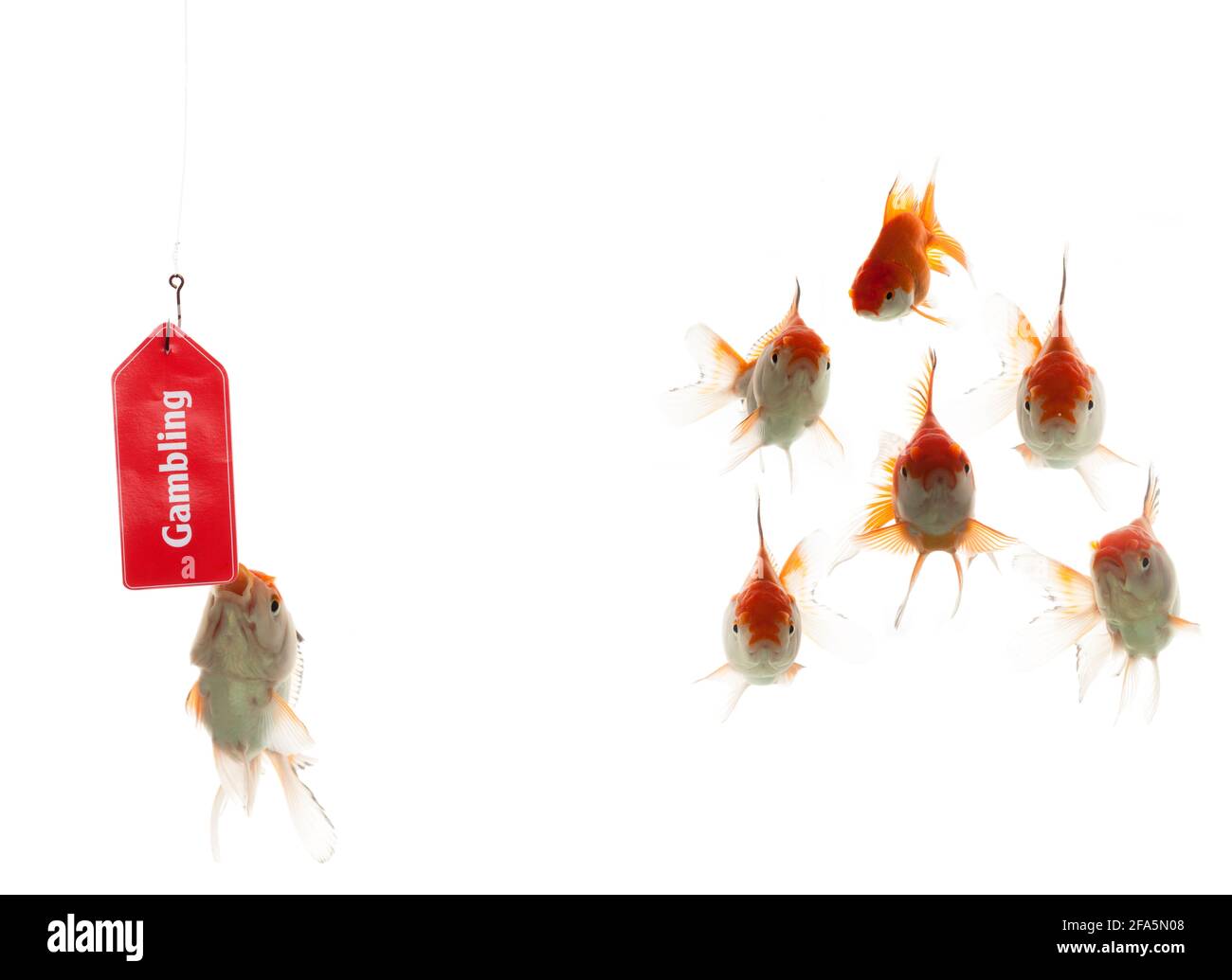 Truffe di gioco Foto Stock