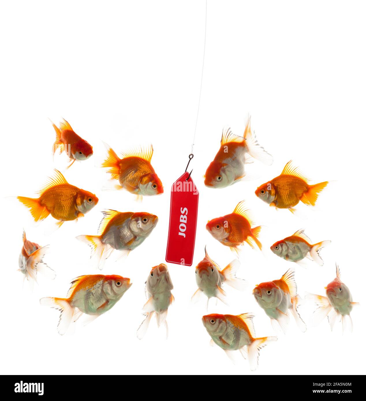 L'esca è sul posto per la gente che cerca i nuovi posti di lavoro. Foto Stock