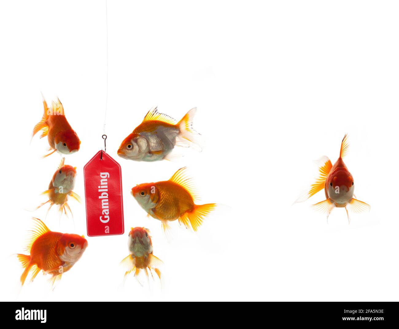 Truffe di gioco Foto Stock