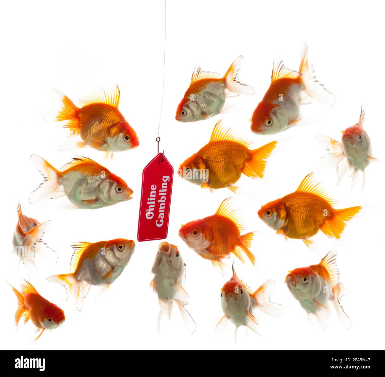 Online scams di gioco Foto Stock