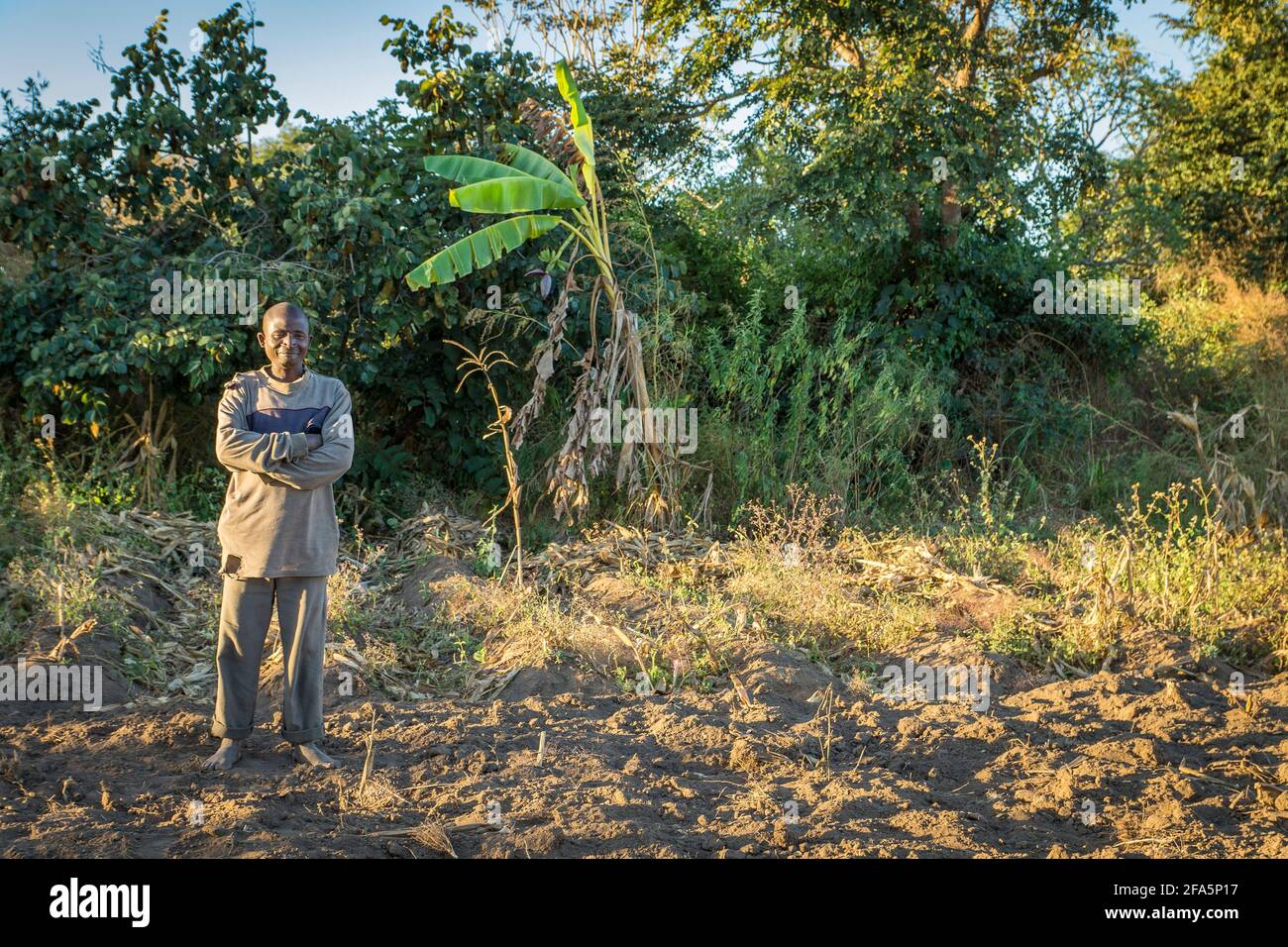 Agricoltore maschile che mostra la sua agricoltura di conservazione sostenibile vicino a Mzuzu, Malawi Foto Stock