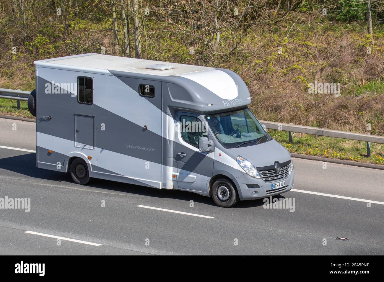 2014 Grigio bianco Renault Master Lm35 Business dCi ShannonView Joey pulmino crine; Coach built van conversione equino trasporto commerciale di animali viaggiando sull'autostrada M6, Lancashire, Regno Unito Foto Stock