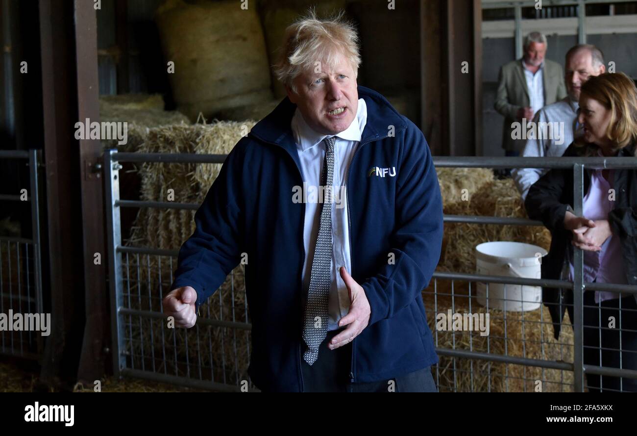 Il primo ministro Boris Johnson durante una visita alla fattoria di Moor a Stoney Middleton, nel nord del Derbyshire, lungo la campagna elettorale locale. Data immagine: Venerdì 23 aprile 2021. Foto Stock