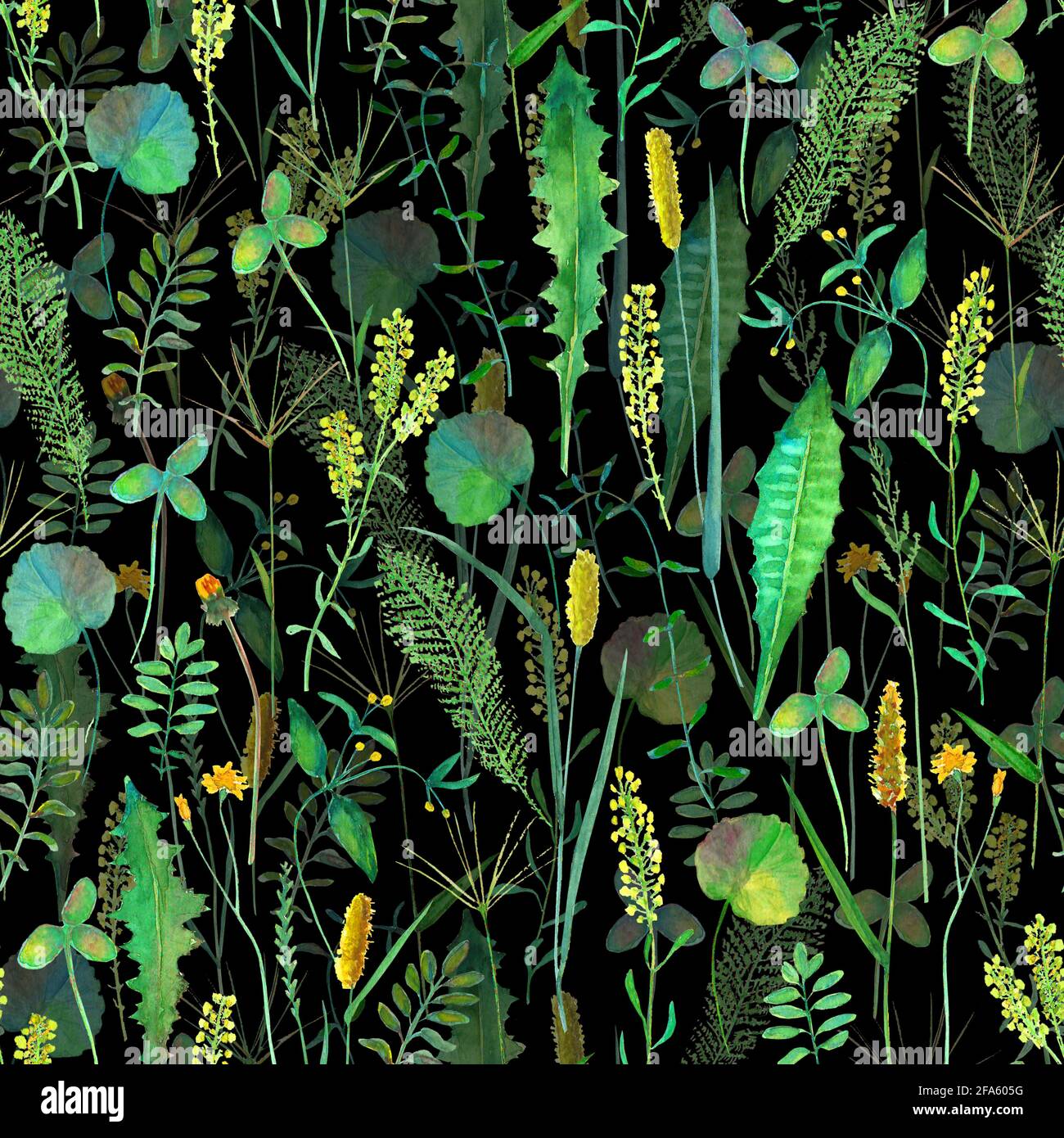 Modello senza cuciture con fiori selvatici prato, erbe, erbe. Acquerello disegnata a mano illustrazione botanica su sfondo nero. Acquerello floreale erbe Foto Stock