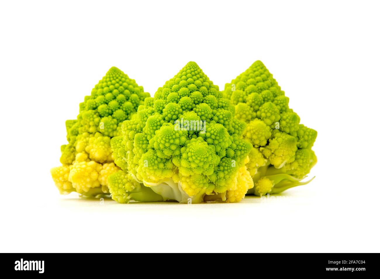 Infiorescenza di Romanesco Broccoli (Brassica oleracea) su sfondo bianco Foto Stock