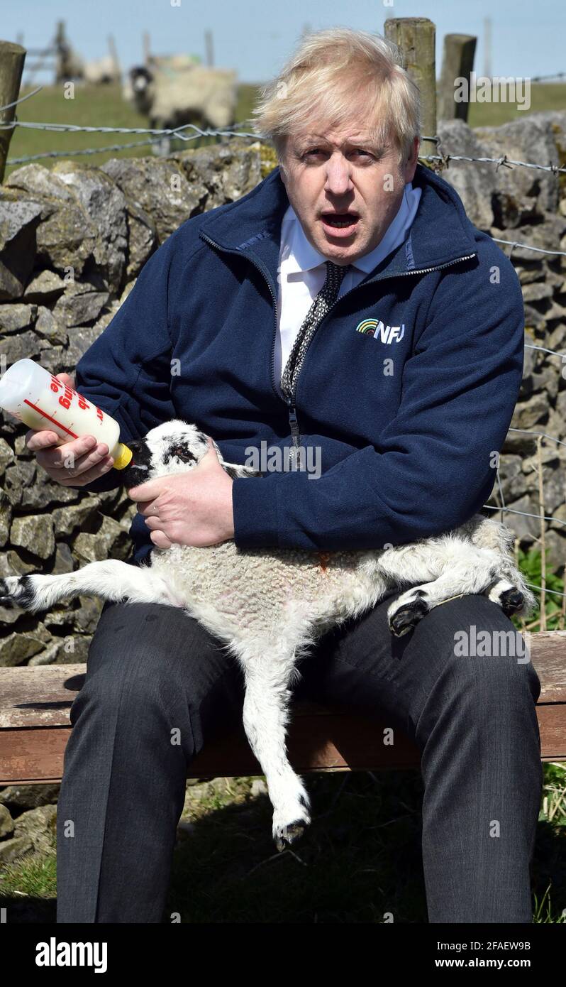 Il primo ministro Boris Johnson nutre un agnello durante una visita alla fattoria di Moor a Stoney Middleton, nel Derbyshire settentrionale, lungo il percorso elettorale locale. Data immagine: Venerdì 23 aprile 2021. Foto Stock
